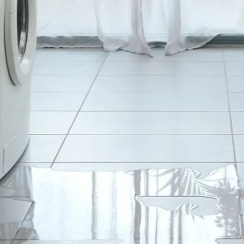 Appliance Leak Cleanup in Kalaheo, HI
