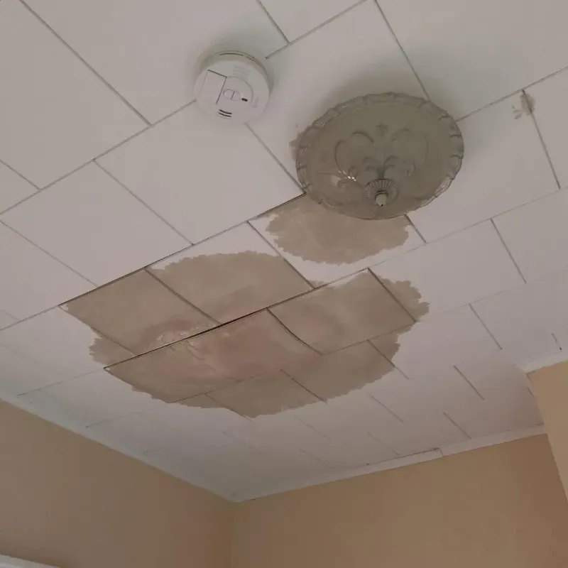 Ceiling Water Damage Repair in Kalaheo, HI